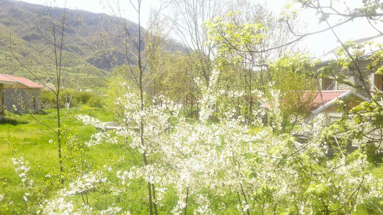 Polad Lahic Exterior foto